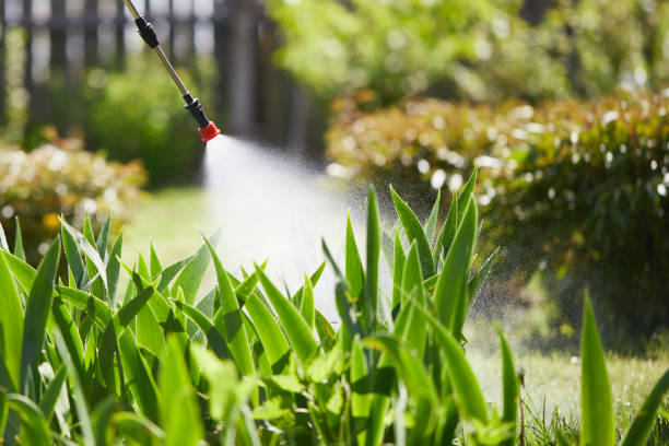 24/7 Emergency Ant Control experts in Woodbine, GA