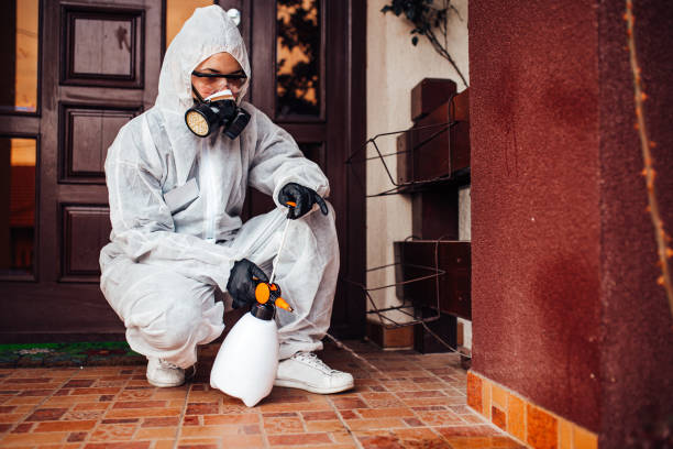 Reliable Ant Control contractor in Woodbine, GA by Show Me Pest Control