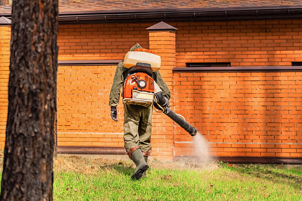 Top rated local Ant Control specialists in Woodbine, GA